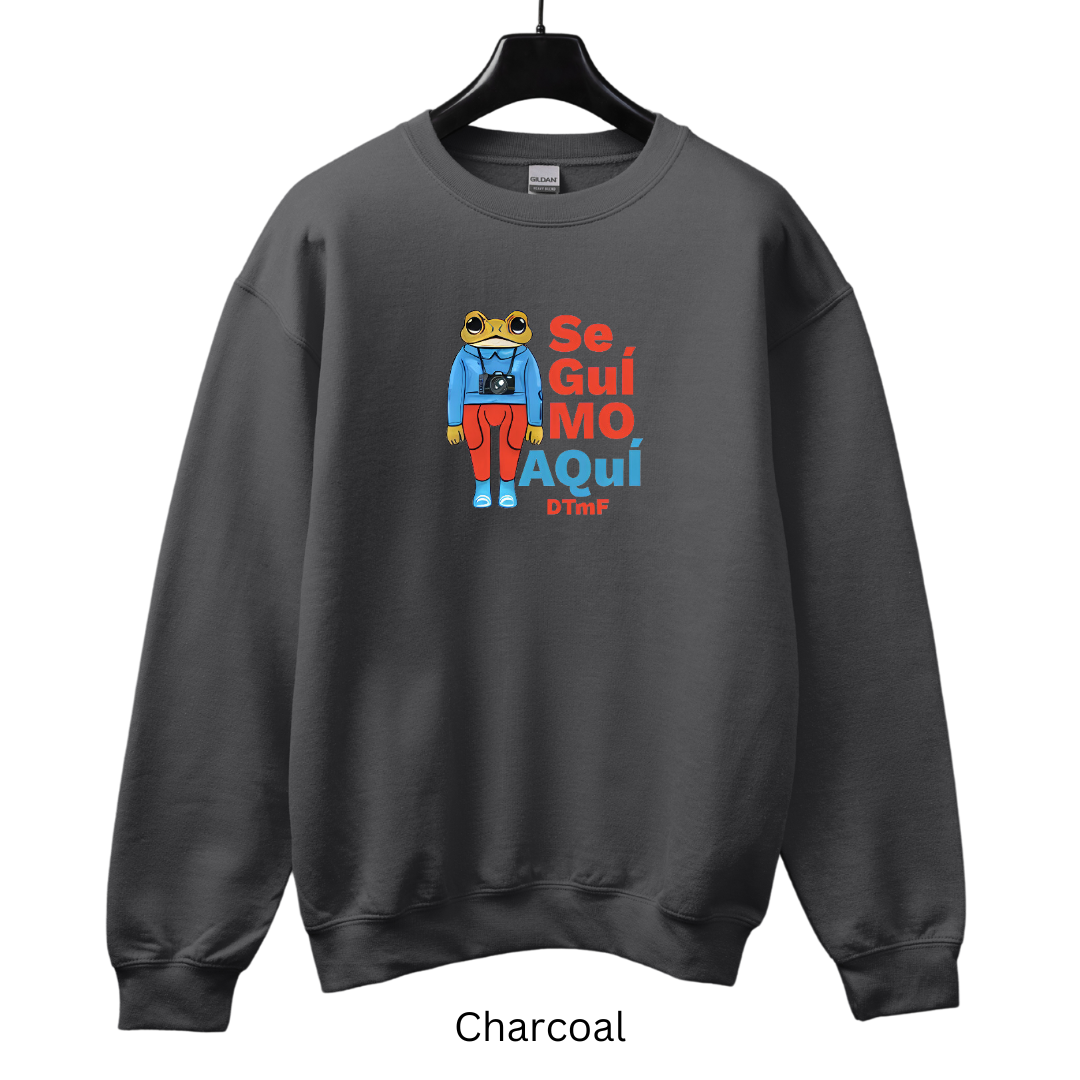 DTMF Seguimos Aqui Sweater (Crewneck or Hoodie)